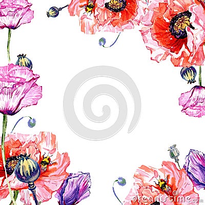 Wildflower poppies flower frame in a watercolor style. Stock Photo