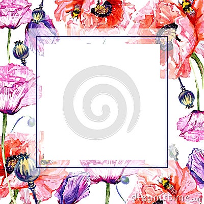 Wildflower poppies flower frame in a watercolor style. Stock Photo