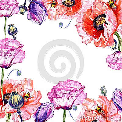 Wildflower poppies flower frame in a watercolor style. Stock Photo