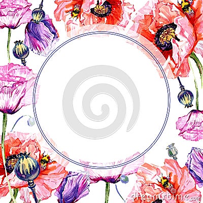 Wildflower poppies flower frame in a watercolor style. Stock Photo