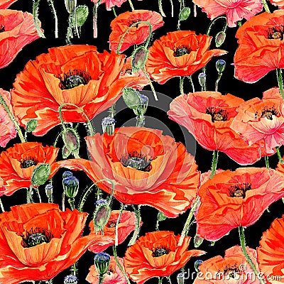 Wildflower poppies flower pattern in a watercolor style. Stock Photo