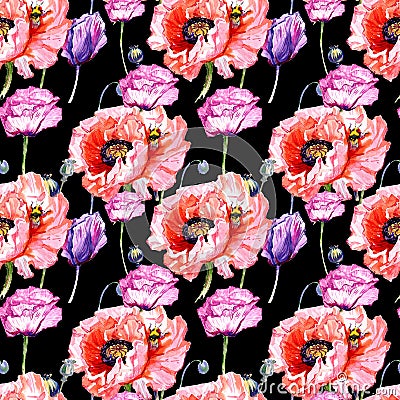 Wildflower poppies flower pattern in a watercolor style. Stock Photo