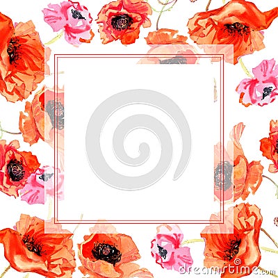 Wildflower poppy flower frame in a watercolor style. Stock Photo