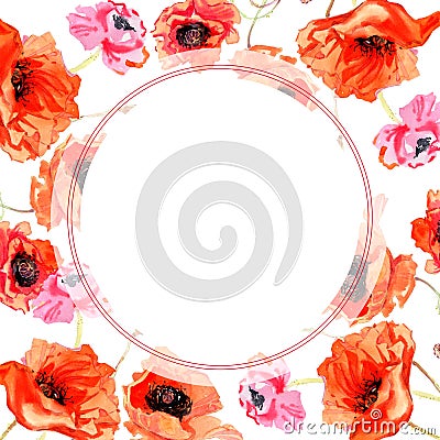 Wildflower poppy flower frame in a watercolor style. Stock Photo