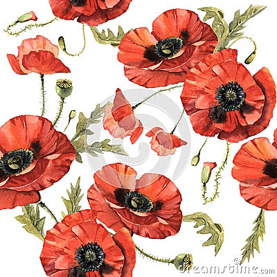 Wildflower poppy flower pattern in a watercolor style isolated. Stock Photo