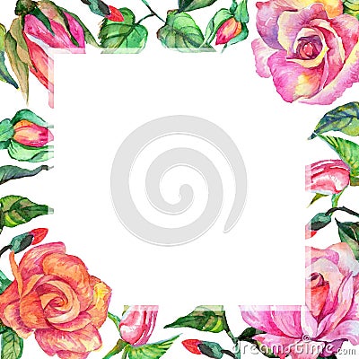 Wildflower rose flower frame in a watercolor style. Stock Photo