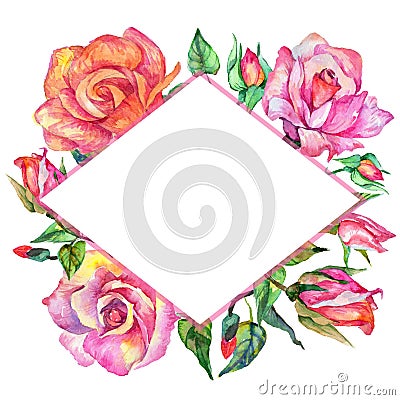 Wildflower rose flower frame in a watercolor style. Stock Photo