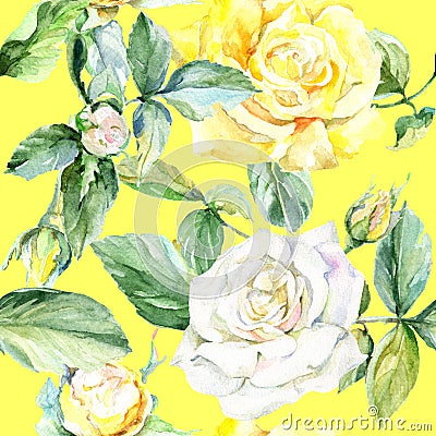 Wildflower rose flower pattern in a watercolor style. Stock Photo