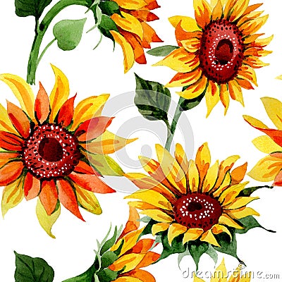 Wildflower sunflower flower pattern in a watercolor style. Stock Photo