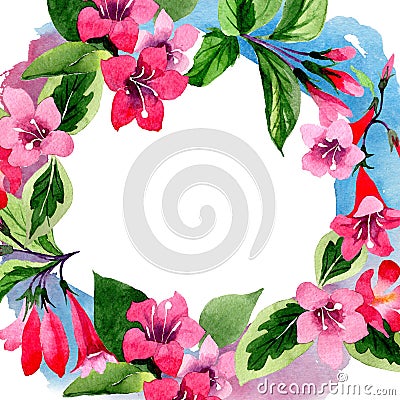 Wildflower weigela flower frame in a watercolor style. Stock Photo