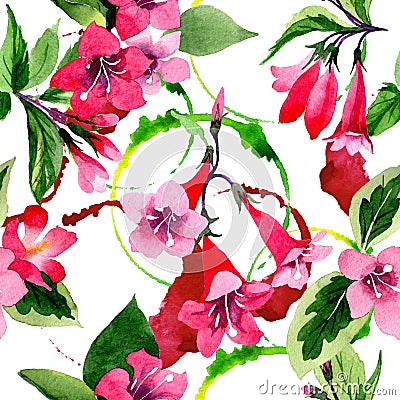 Wildflower weigela flower pattern in a watercolor style. Stock Photo