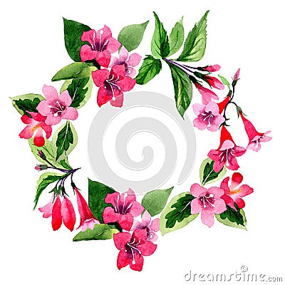 Wildflower weigela flower wreath in a watercolor style. Stock Photo