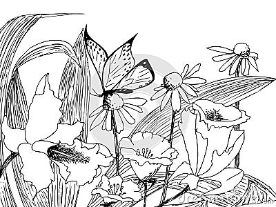 Wildflowers. Butterfly on a camomile. Summer mood. Line art, hand pen on a white background Cartoon Illustration