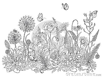 Wildflowers and insects sketch Vector Illustration