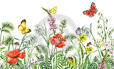 Wildflowers Seamless Horizontal Border Stock Photo