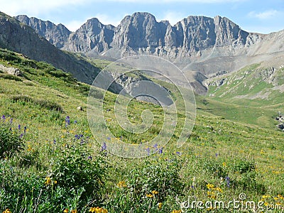 Wildflowers and American Mountain Stock Photo