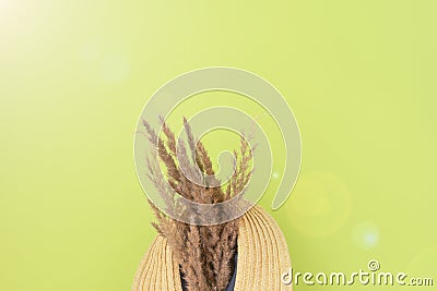 Wildflowers and a straw hat on a green background. Summer concept. Flat lay Stock Photo