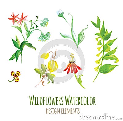 Wildflowers watercolor design elements set Vector Illustration