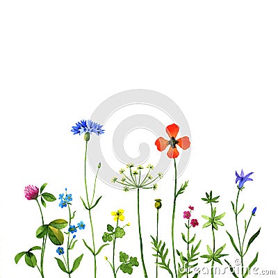 Wildflowers Cartoon Illustration