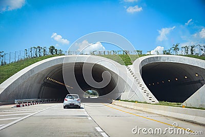 Wildlife crossing over on highway in forest road tunnel traffic car speed on street - Bridge for animals over a highway Editorial Stock Photo