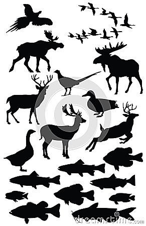 Wildlife illustration Stock Photo