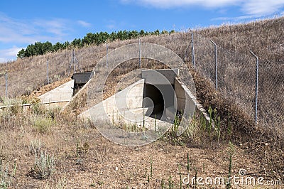 Wildlife passage Stock Photo