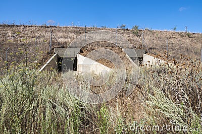 Wildlife passage Stock Photo