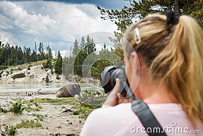 Wildlife photographer in yellowstone Stock Photo