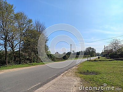 Wildlife road in New Forest England Stock Photo