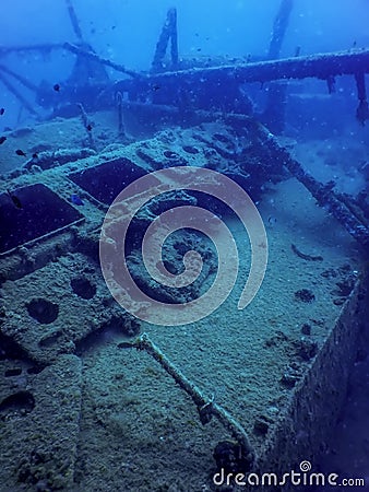 Wildlife at the ship wreck, Underwater world Stock Photo