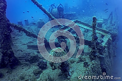 Wildlife at the ship wreck, Underwater world Stock Photo