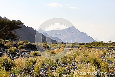 A wildlife view look s good Stock Photo