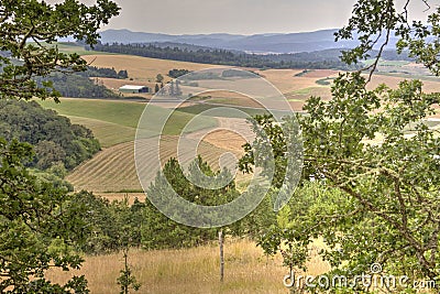 Willamette Valley landscape, Oregon Stock Photo