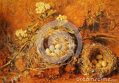 William Henry Hunt, Chaffinch Nest and May Blossom Editorial Stock Photo