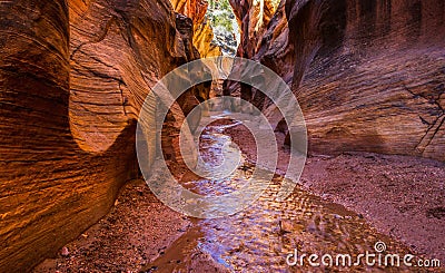 Willis Creek Stock Photo