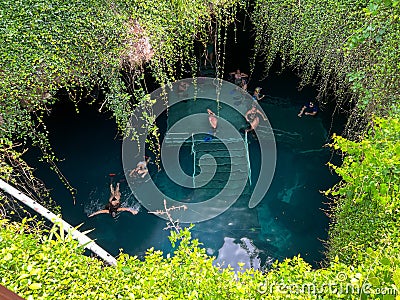 Devils Den snorkeling and scuba diving privately owned spring in Williston, Florida Editorial Stock Photo