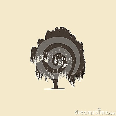 Willow or Birch, hand drawn silhouette. Vector sketch of deciduous tree. Vector Illustration