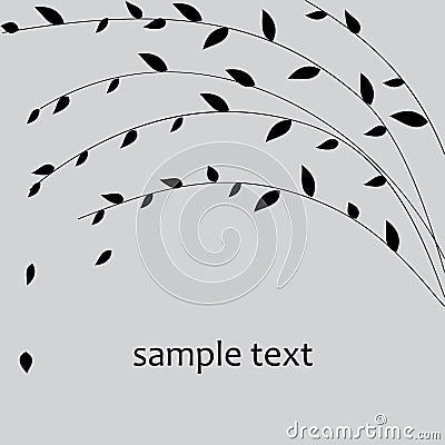 Willow branch. Stock Photo