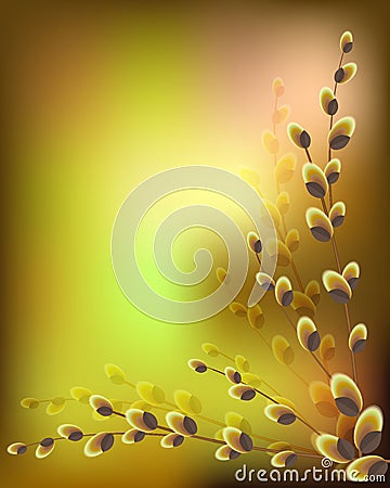 Willow branches on a green background Vector Illustration