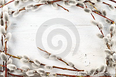 Willow catkins frame on white textured wooden background Stock Photo