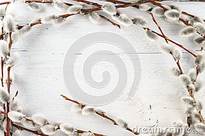 Willow catkins frame on white textured wooden background Stock Photo