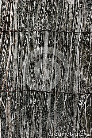 Willow Fencing Stock Photo