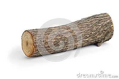 Willow log isolated Stock Photo