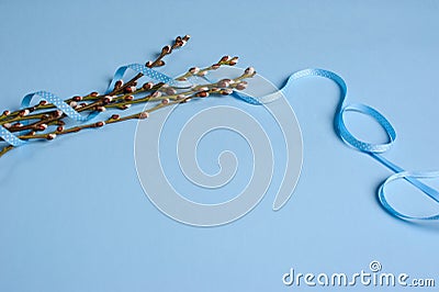 Spring. willow seals on blue background Stock Photo
