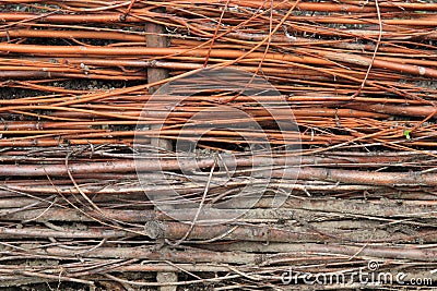 Willow wicker texture Stock Photo