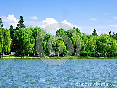 Willows by West Lake Cultural Landscape of Hangzhou Stock Photo