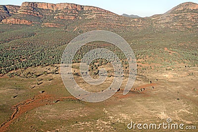 Wilpena Pound Stock Photo