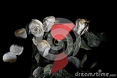 Wilted rose flowers and torn in half a paper heart, the concept of a broken heart Stock Photo