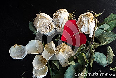 Wilted rose flowers and torn in half a paper heart, the concept of a broken heart, breakup Stock Photo