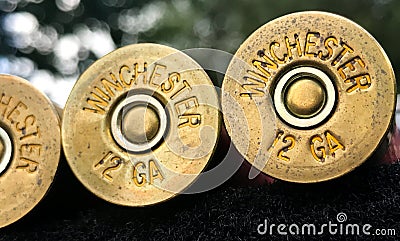 Winchester 12 Gauge Shotgun Shells Editorial Stock Photo